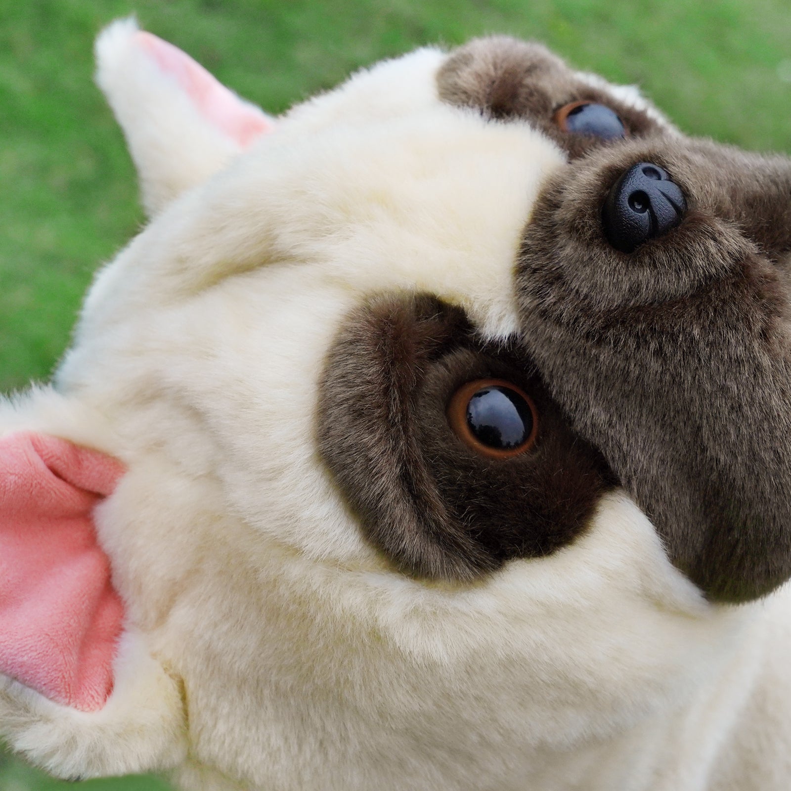 French bulldog Animal Driver Head Cover