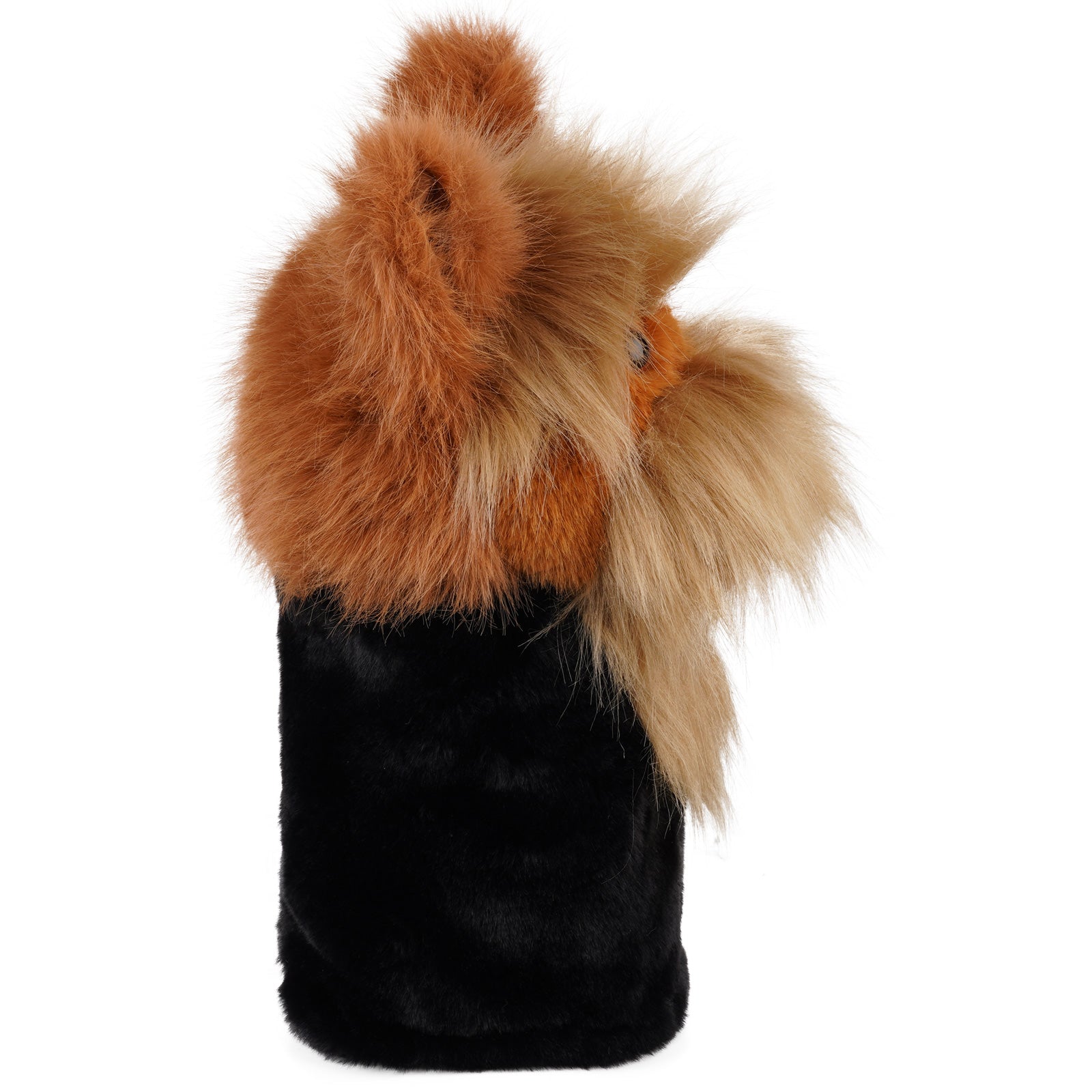 Brown Yorkshire Terrier Driver