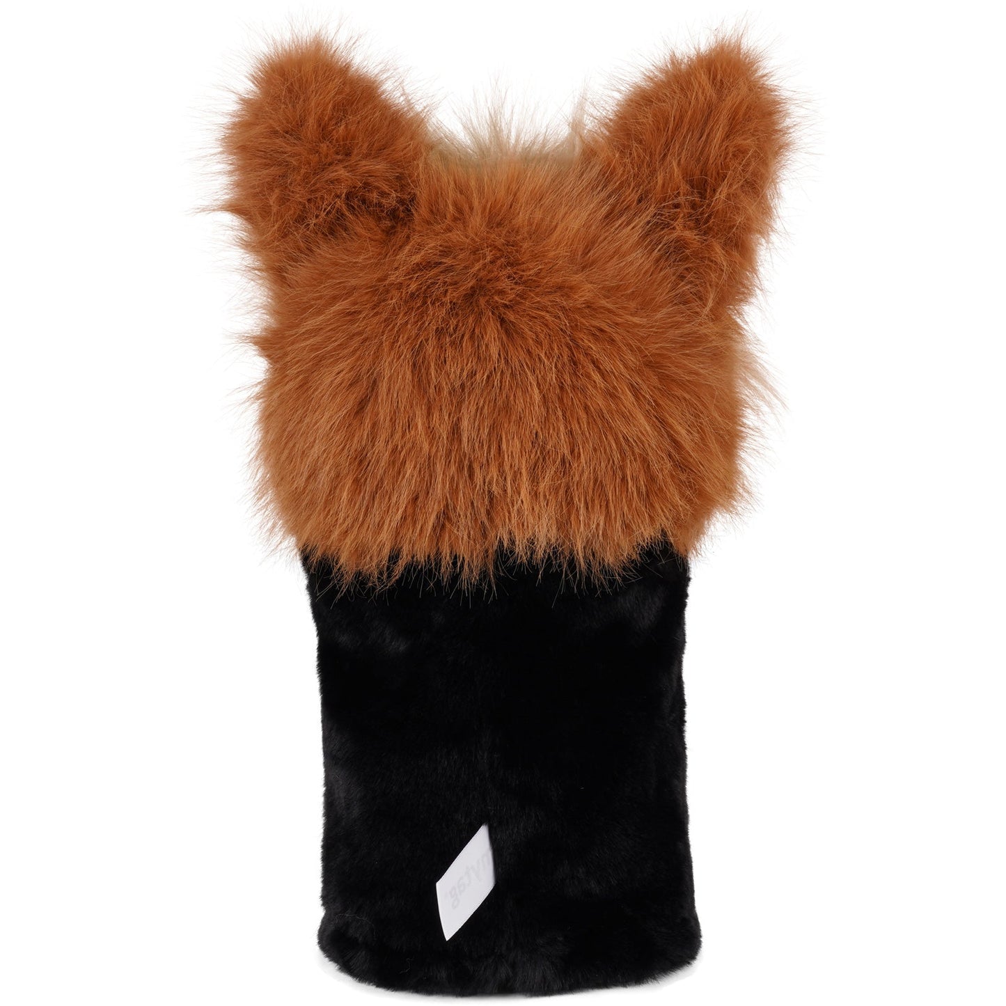 Brown Yorkshire Terrier Driver