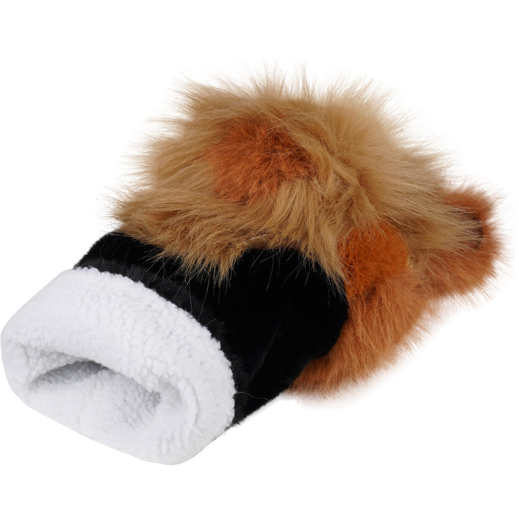 Brown Yorkshire Terrier Driver