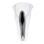 Birdie Golf Club Blade Putter Headcover